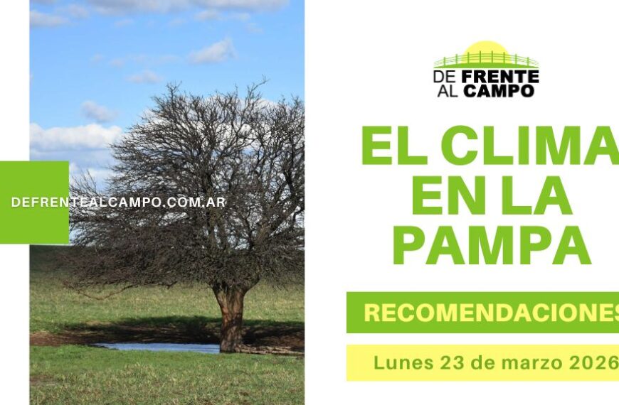 Clima en La Pampa con campo y árbol, ilustración del pronóstico del tiempo en La Pampa