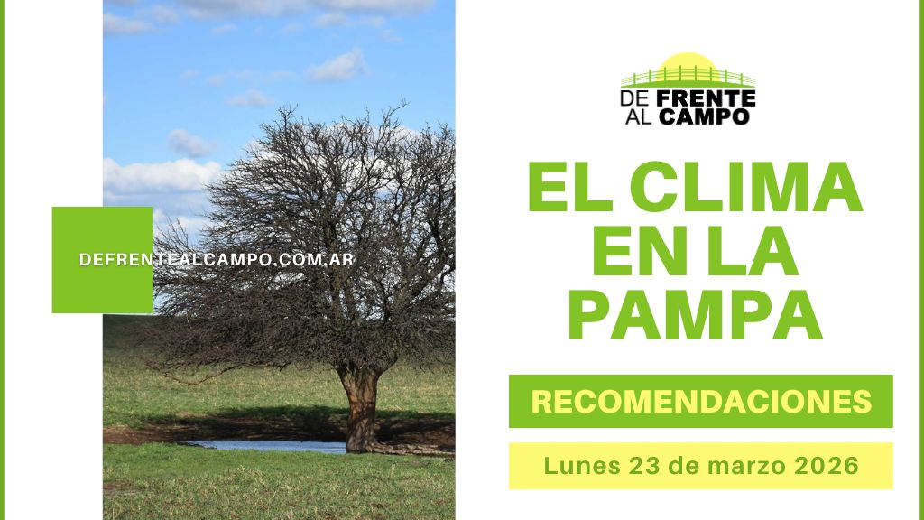 Clima en La Pampa con campo y árbol, ilustración del pronóstico del tiempo en La Pampa