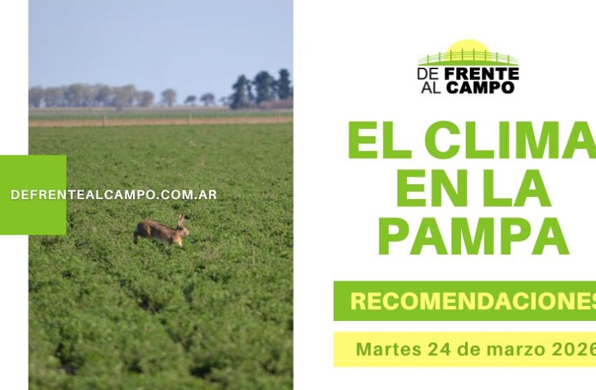Campo en La Pampa con liebre y gráfico de Pronóstico del tiempo en La Pampa recomendaciones 24 de marzo 2026