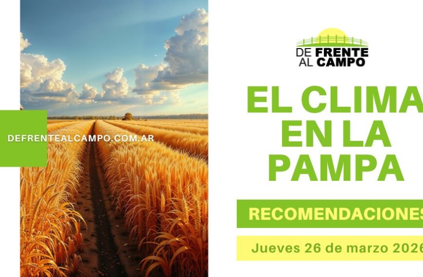 El clima en La Pampa con campo soleado y cultivo bajo cielo despejado, Pronóstico del tiempo en La Pampa