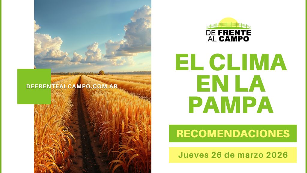 Pronóstico del tiempo en La Pampa: leve ascenso térmico con 27 °C y humedad superior al 80% en toda la provincia (Jueves 26 de marzo 2026)