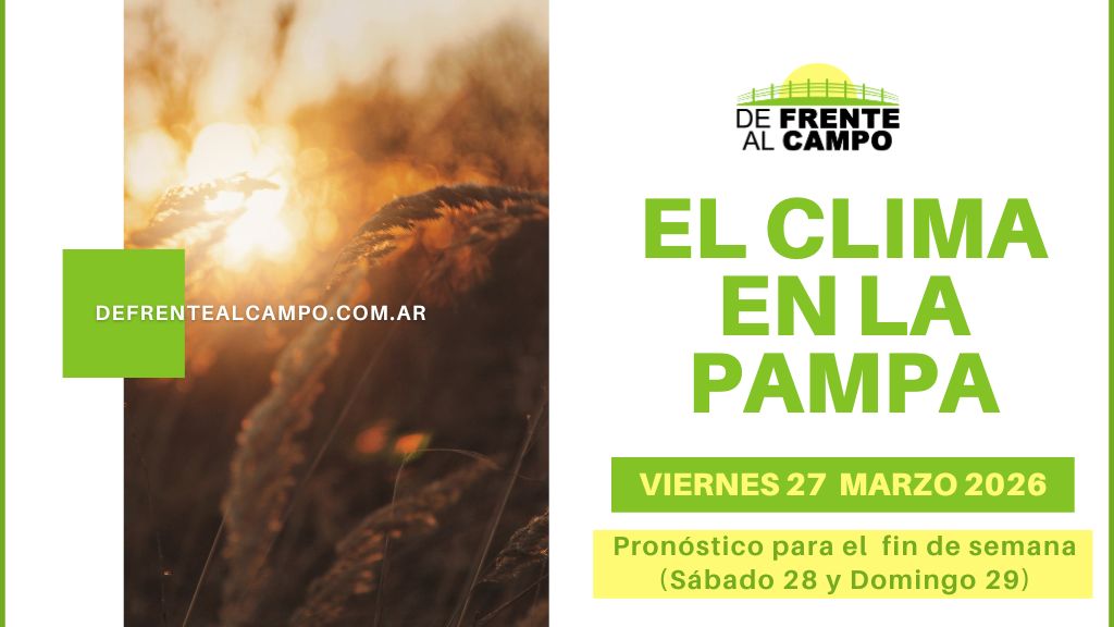 Pronóstico del tiempo en La Pampa: viernes estable con 29°C y humedad alta; fin de semana inestable con lluvias y tormentas (15°C / 29°C)