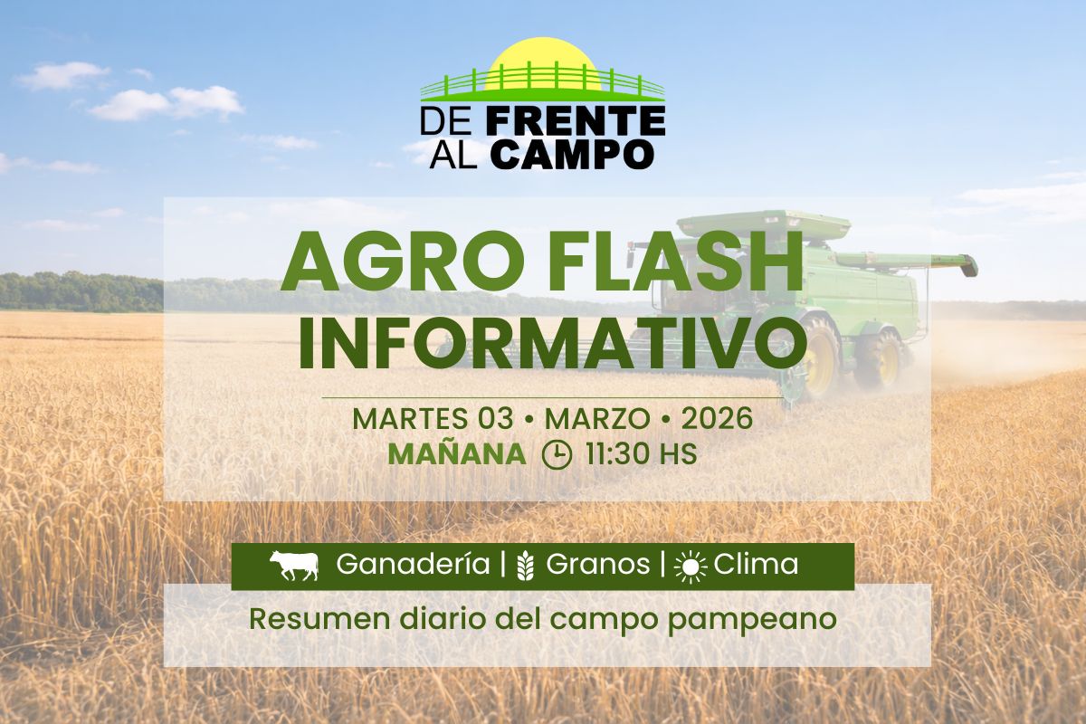 Agro Flash Informativo del 3 de marzo 2026 con cosechadora en campo de trigo y datos de ganadería, granos y clima.
