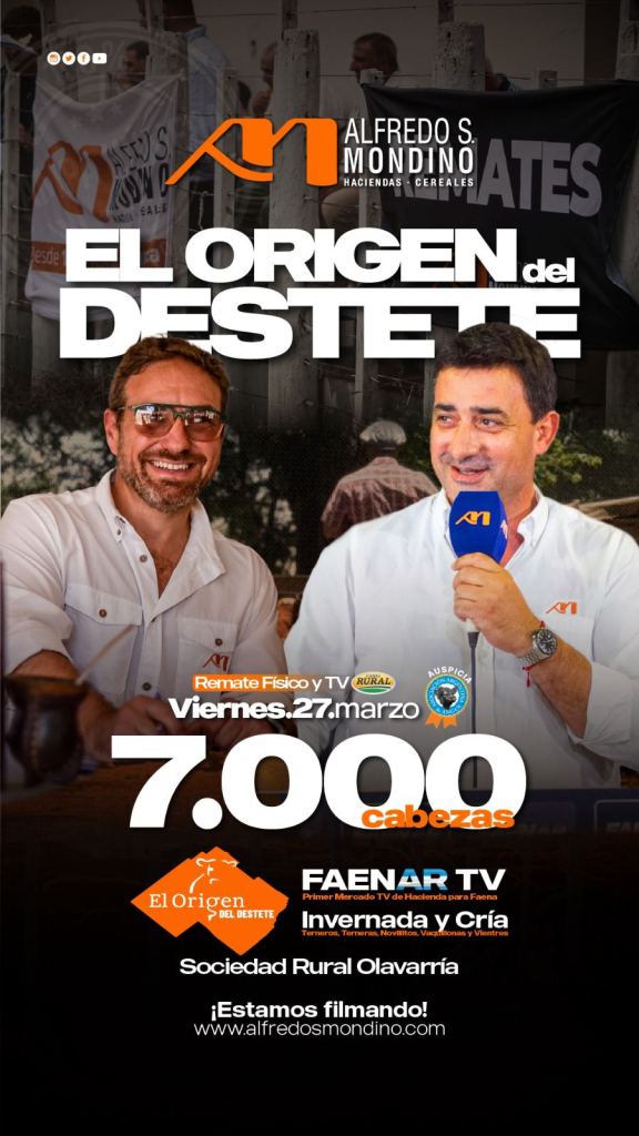 Remate feria Mondino Olavarría 27 marzo con 7000 cabezas de invernada y cría en Sociedad Rural