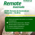 Atreu-Co | Macachín | Próximo Remate Feria el martes 7 de abril de 2026