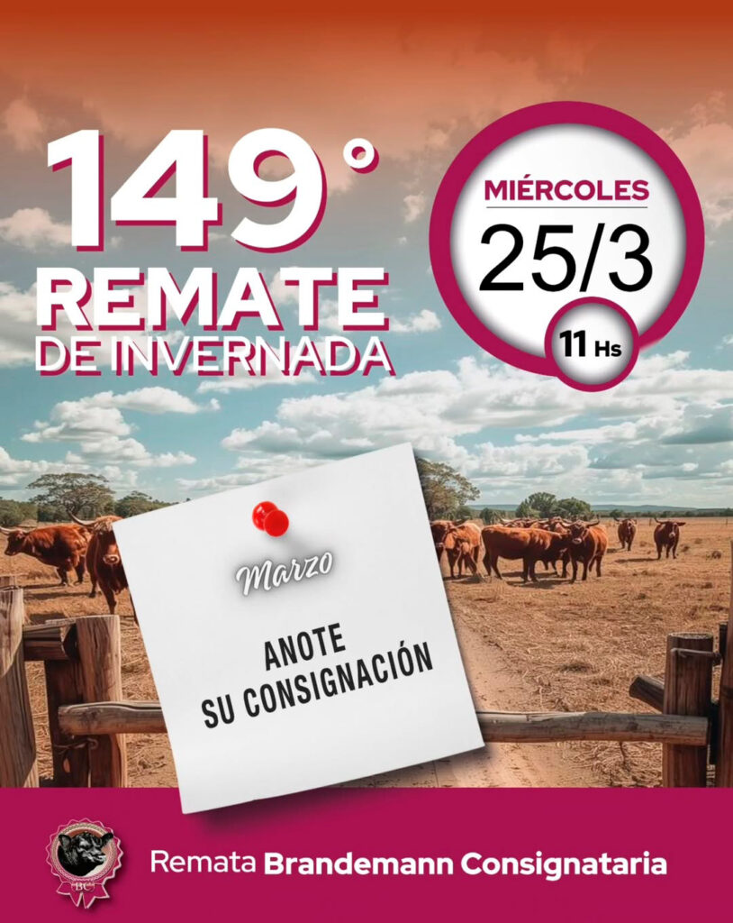 Remate feria Brandemann 25 marzo 2026 con 149° remate de invernada y consignación abierta