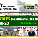 Brandemann Consignataria | Eduardo Castex | Próximo Remate Feria el miércoles 25 de marzo de 2026