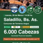 Colombo y Magliano S.A. | Saladillo | Próximo Remate Feria el Jueves 26 de Marzo de 2026 a las 14:30
