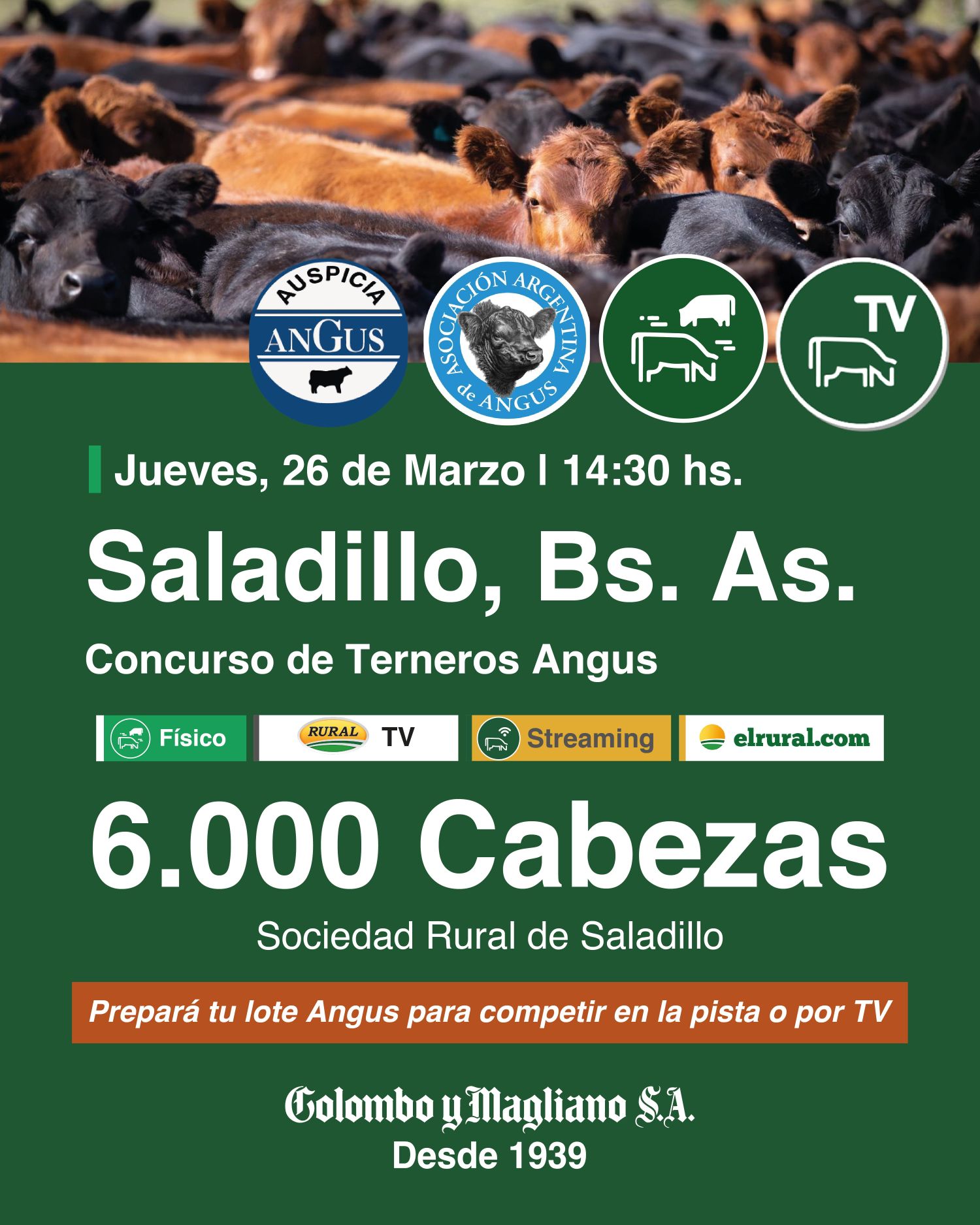Remate feria Colombo y Magliano Saladillo 26 marzo 2026 con 6000 cabezas Angus y concurso de terneros
