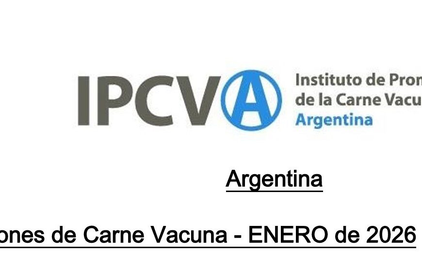 Exportaciones de carne vacuna argentina enero 2026 con datos de volumen, valor y mercados principales