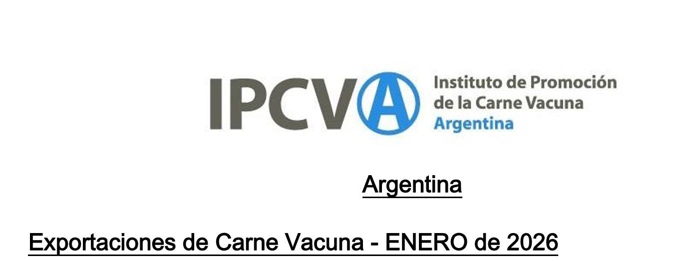 Exportaciones de carne vacuna argentina – Enero 2026: suba interanual con presión en volúmenes