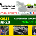 Ganaderos de Elordi S.A. y Sociedad Victorica S.R.L. | Victorica | Próximo Remate Feria el miércoles 11 de marzo de 2026