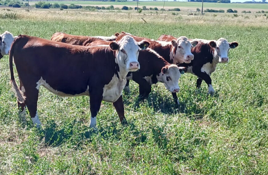 El RIMI impulsa nuevas oportunidades para inversiones agroindustriales con beneficios fiscales y laborales