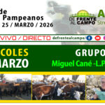 Grupo Quemú | Miguel Cané | Próximo Remate Feria el Miércoles 25 de marzo de 2026