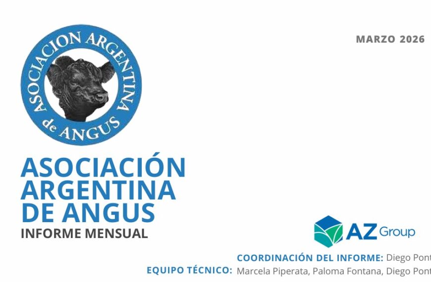 Informe Angus marzo 2026 con análisis del mercado ganadero, precios y exportaciones de carne vacuna