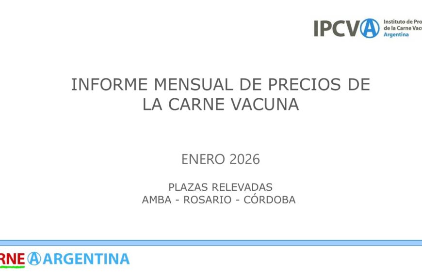 Informe mensual IPCVA enero 2026 sobre precios de la carne vacuna en Argentina