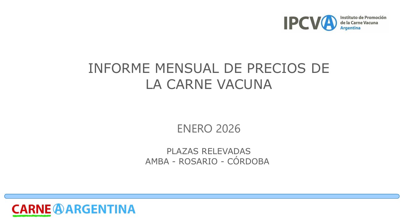 Precios de la carne vacuna: informe IPCVA enero 2026