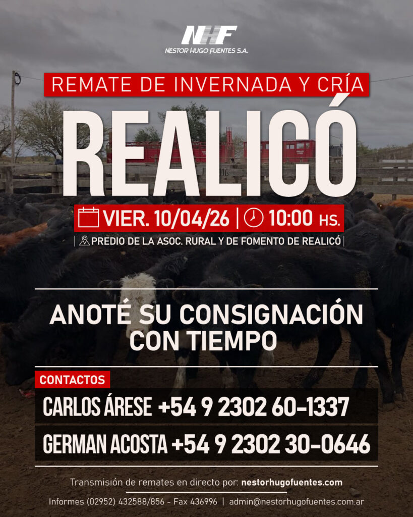 Remate feria NHF Realicó 10 de abril 2026 con hacienda de invernada y cría en predio rural