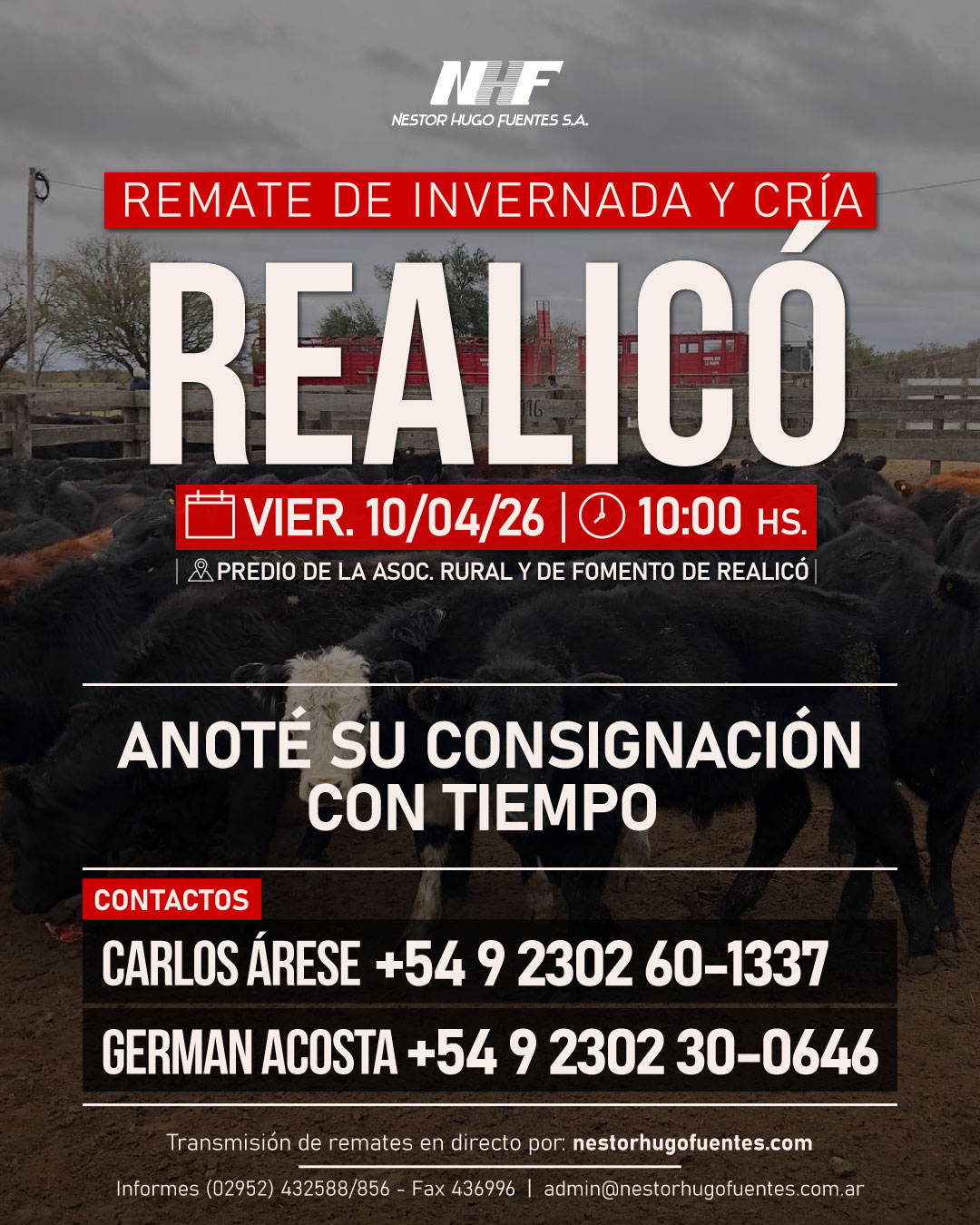 Remate feria NHF Realicó 10 de abril 2026 con hacienda de invernada y cría en predio rural