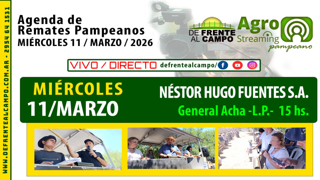 Remate feria Néstor Hugo Fuentes General Acha 11 marzo 2026 streaming en vivo