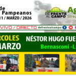Néstor Hugo Fuentes S.A. | Bernasconi | Próximo Remate Feria el miércoles 11 de marzo de 2026