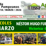 Néstor Hugo Fuentes S.A. | Victorica | Próximo Remate Feria el Miércoles 18 de marzo de 2026