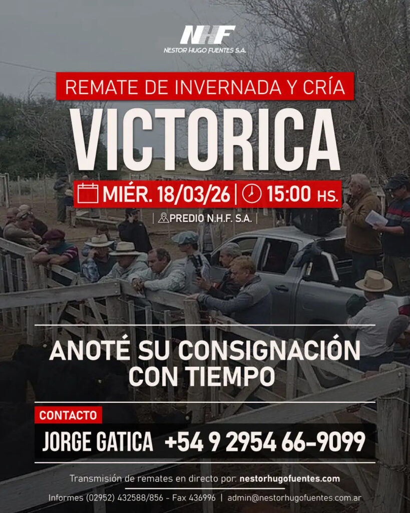 Remate feria NHF Victorica 18 marzo 2026 con 1200 vacunos de invernada y cría en predio N.H.F. S.A.