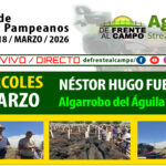 Néstor Hugo Fuentes S.A. | Algarrobo del Águila | Próximo Remate Feria el Miércoles 18 de marzo de 2026