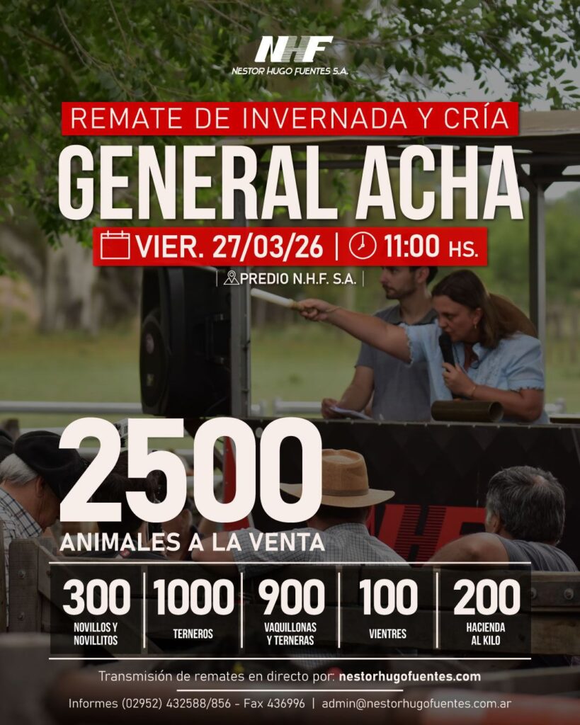 Remate feria Néstor Hugo Fuentes General Acha 27 marzo 2026 con 2500 animales de invernada y cría