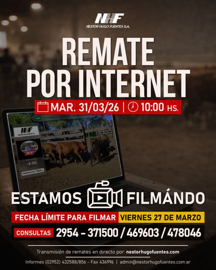 Remate feria Néstor Hugo Fuentes 31 marzo 2026 por internet con hacienda