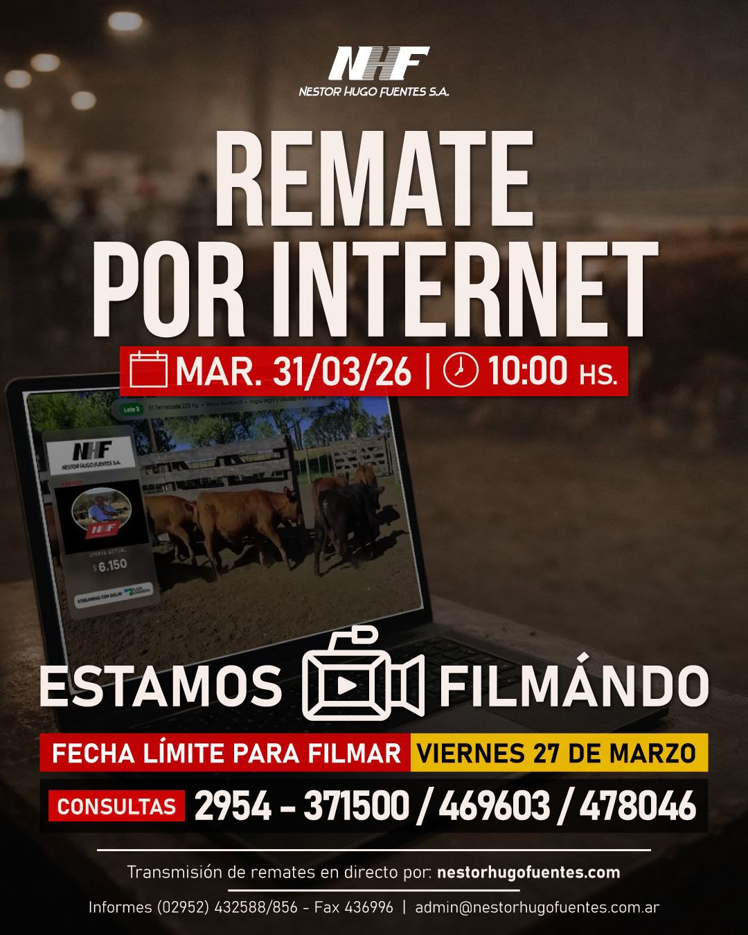Remate feria Néstor Hugo Fuentes 31 marzo 2026 por internet con hacienda