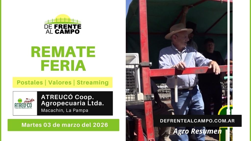 Remate Feria de ATREU-CÓ Cooperativa Agropecuaria Ltda. | Macachín | Martes 03/03/2026