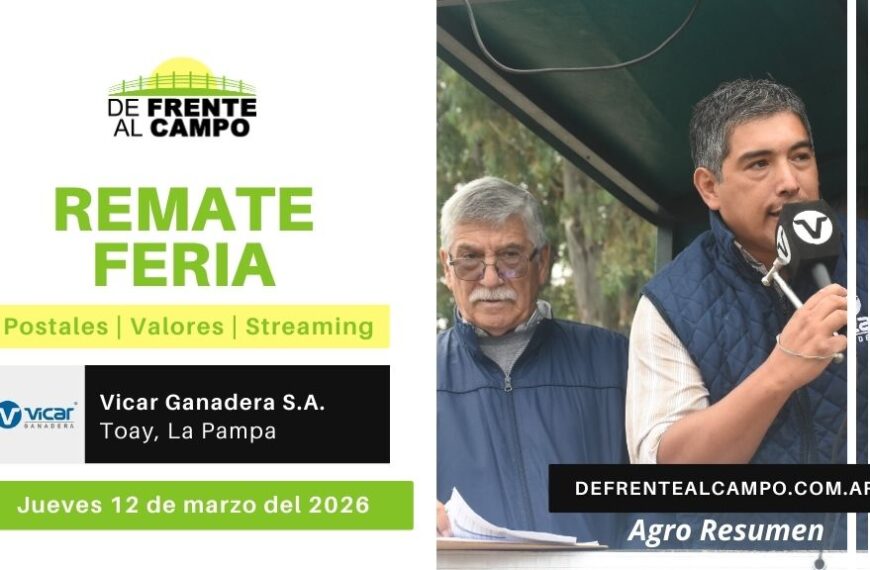 Remate Feria de Vicar Ganadera S.A. | Toay | Jueves 12/03/2026