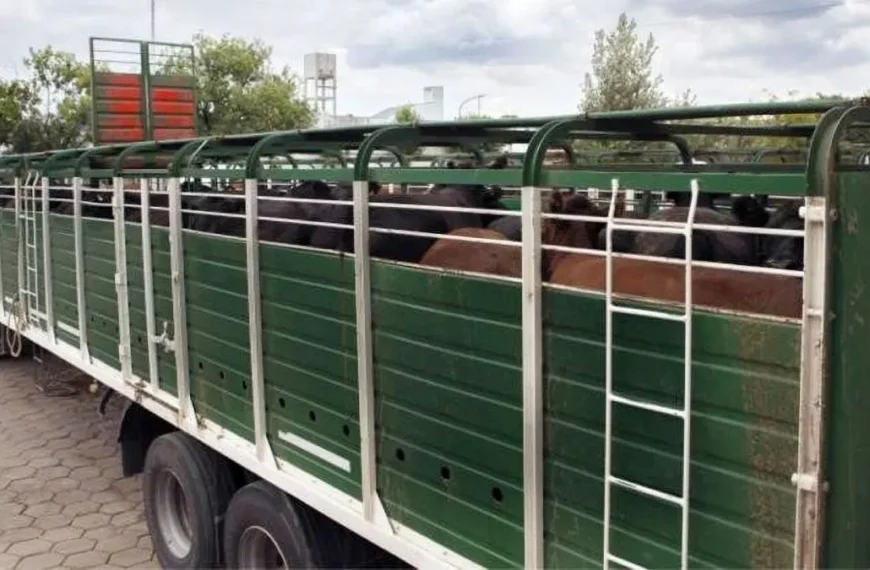 Córdoba impulsa eliminar tasas municipales y unificar el traslado de hacienda con el DT-e del SENASA