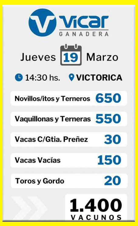 Remate feria Vicar Ganadera en Victorica con 1.400 vacunos entre invernada, vientres y gordo el 19 de marzo de 2026